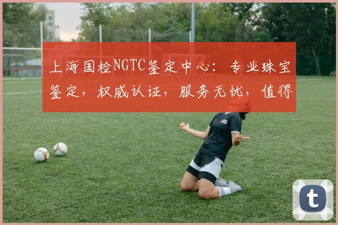 上海国检NGTC鉴定中心：专业珠宝鉴定，权威认证，服务无忧，值得信赖，三重保障。