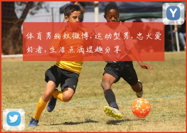 体育男狗奴微博,运动型男,忠犬爱好者,生活点滴逗趣分享